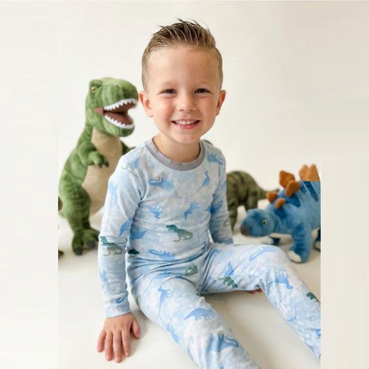 BCS49 Esme Boys Full Length Pajamas Set  Superhero,  Star, Gummies, Thunder Bunny, Dino World, Transporter